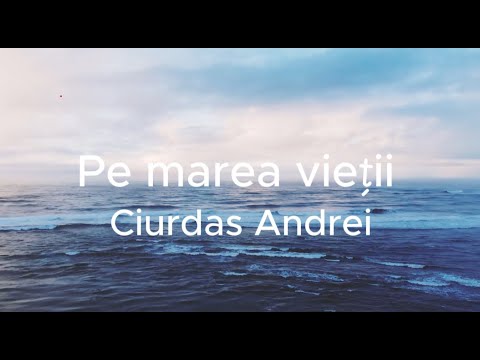 On the sea of ​​life - Andrei Ciurdas