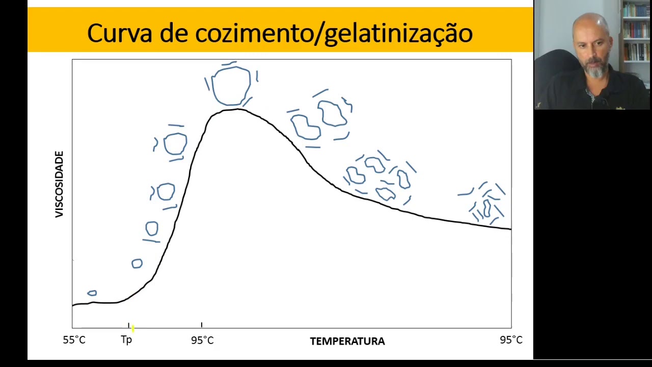Amido: Gelatinização e Retrogradação