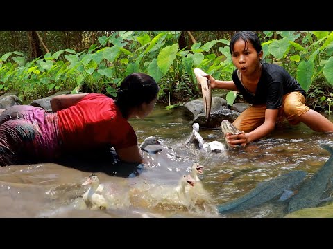 Catch many duck and fish for food of survival-Cooking duck spicy with grill fish for lunch in forest