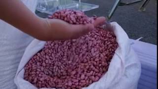 GRACIAS A LAS GESTIONES DEL GOBERNADOR JOSÉ ROSAS AISPURO TORRES SE LOGRA NUEVO ESQUEMA DE COMERCIAL