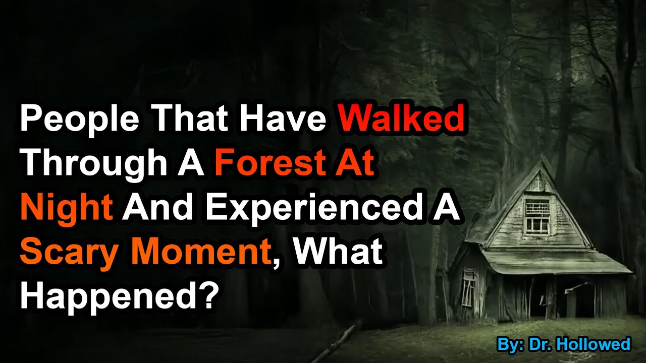 People That Have Walked Through A Forest At Night And Experienced A Scary Moment: What Happened?