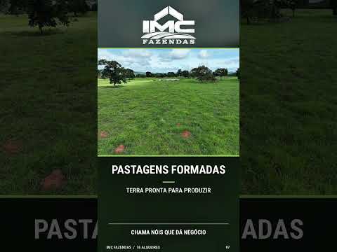 IMC Fazendas - 16 alqueires dupla Aptidão 40km de São Luís de montes belos - Go