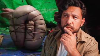 O Oscar ignorou este filme... mas eu não