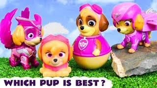 Who is the best Paw Patrol pup for these fun rescues?