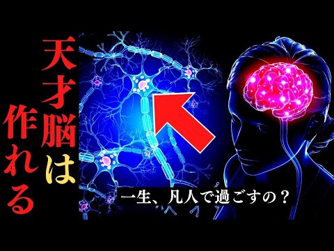 人生の構成要素を活性化する