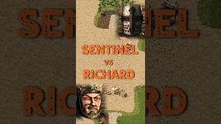 Sentinel vs Richard | Stronghold Crusader: DE #strongholdcrusader #fireflystudios #gameplay #rts