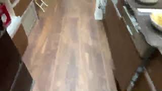 猫と犬とうさぎとインコの新年ニャントモライブ！