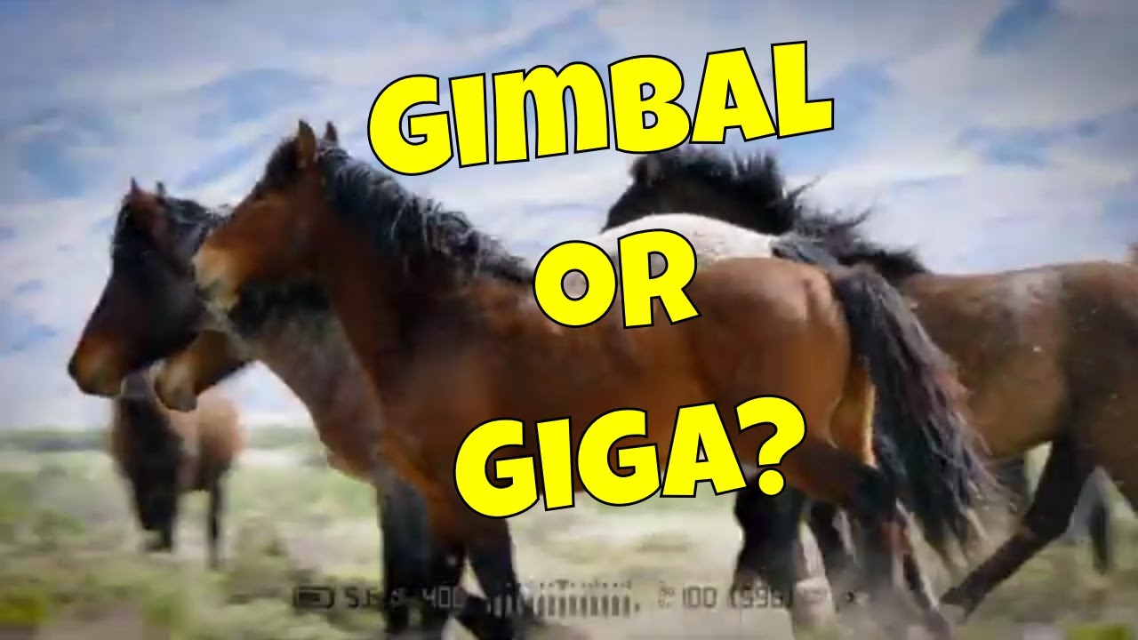 M2 Gigapixel Gimbal Arm Panoramic Head Shoot GIGAPIXEL High-Resolution AND Wildlife Photography