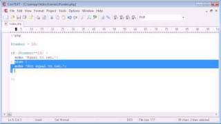 Beginner PHP Tutorial - 19 - if / else if Statement