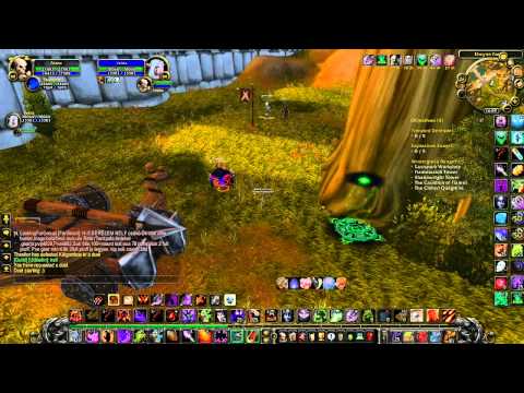 Destruction Warlock PvP - Feana - LvL 80; 3.3.5