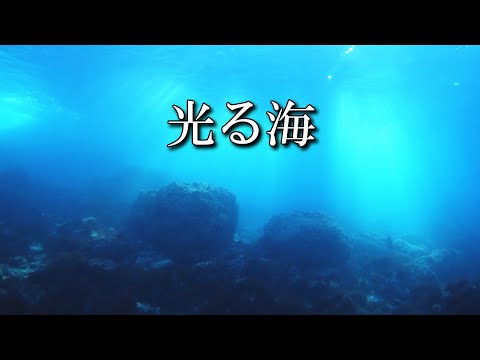 光る海