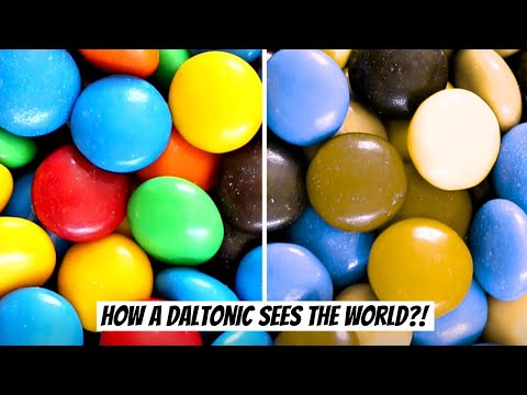 How A Daltonic Sees The World?! | VIX