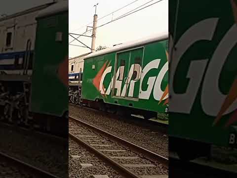 wnb (white and blue) dinas KA Blambangan#train #kai121  #railfansdaop1#lokomotifcc203 #railways#wnb