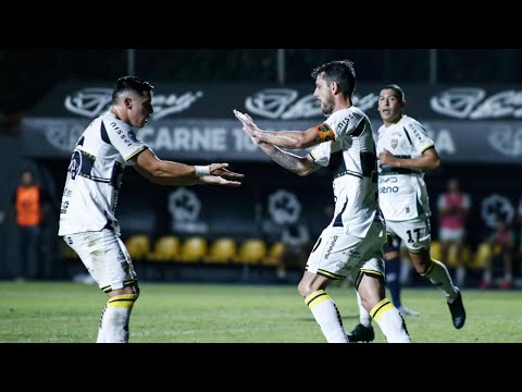 bg-highlight