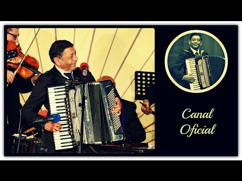 Ionel Tudorache - Pe ulita armeneasca (Festivalul Ion Albesteanu 2014)