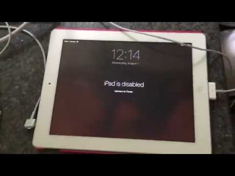 running MEMZ on an iPad