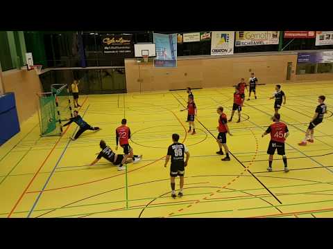 Ausgleich in letzter Sekunde: TSV Alfdorf/Lorch 1921 - SG Schozach-Bottwartal 24:24