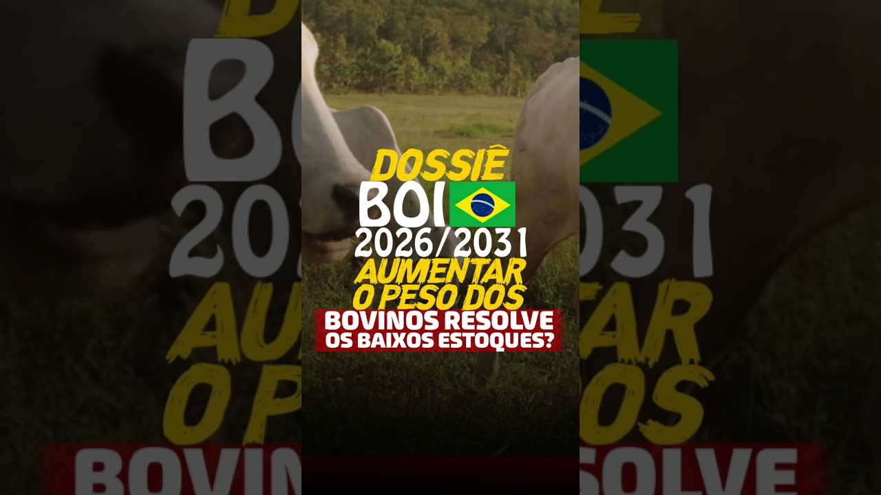 DOSSIÊ BOI BR 2026/2031: AUMENTAR O PESO DOS BOVINOS RESOLVE OS BAIXOS ESTOQUES?