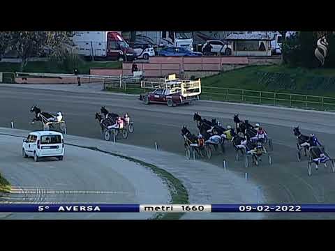 Aversa trotto 9 Febbraio 2022 - 5° Corsa