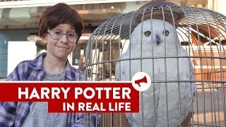 Harry Potter In Real Life - Movies In Real Life (E