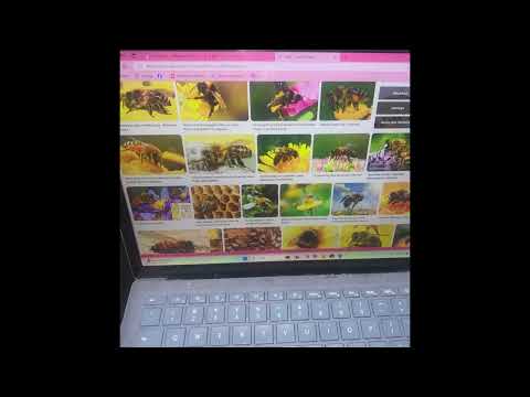 “Essence” FT Cyntel, Based Ten Dime [AUDIO]