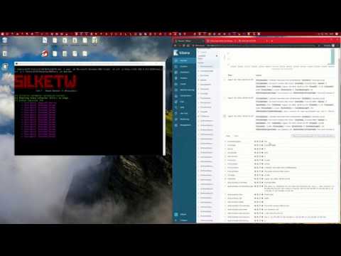 BlackHat Arsenal 2019: SilkETW & SilkService - Demo 3