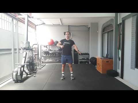 DUMBBELL HANG MUSCLE SNATCH