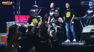 Download lagu Adella live MATAHARI - Anak yang Malang mp3