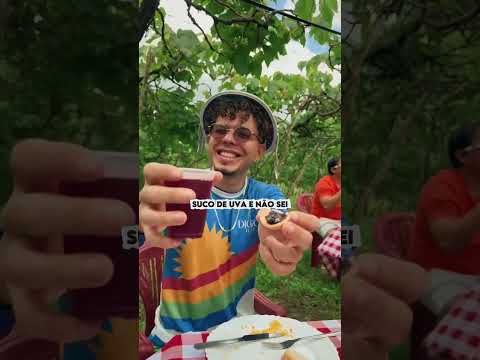 Rolê da Uva Voltou! Simbora conhecer Natuba!