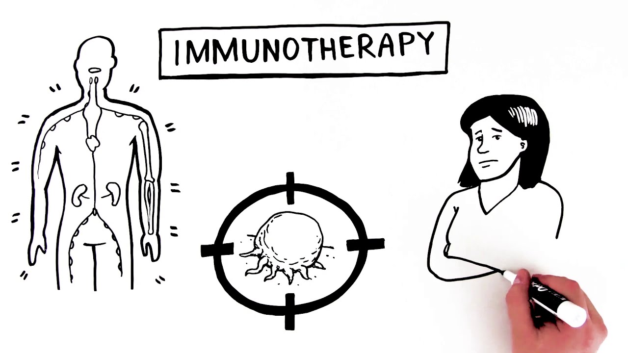 Your Guide To Immunotherapy