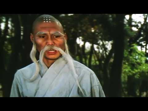 La Terrible Vengeance du Maître de Shaolin (1983)