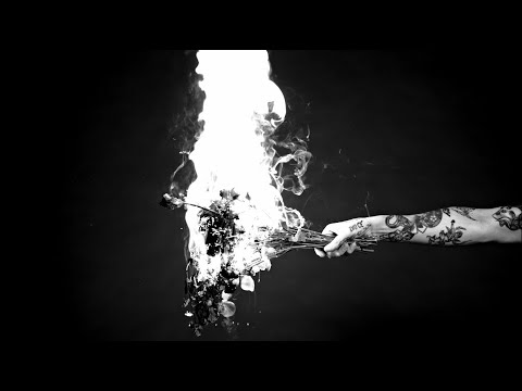Video thumbnail for Fiori Di Papavero