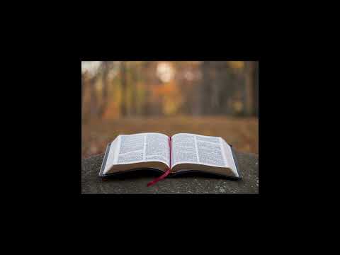 Peta Knjiga Mojsijeva - Novi Savremeni Prevod