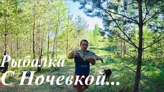 Рыбалка карп карась сом жерех плотва щука голавль и налим