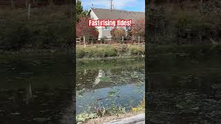 How fast does the tide come in? The his fast!