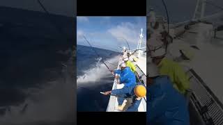 Download lagu cara memancing ikan tuna orang luar negeri pantas dapet banyak #fishing #mancingterbaru #bigtunafish mp3