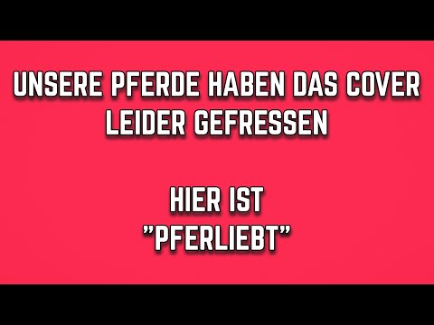 Medimeisterschaften Hannover 2025 - PFERLIEBT