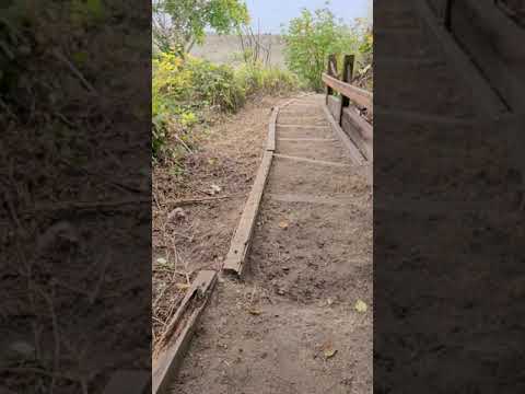 ESHA Beach Access October 2020