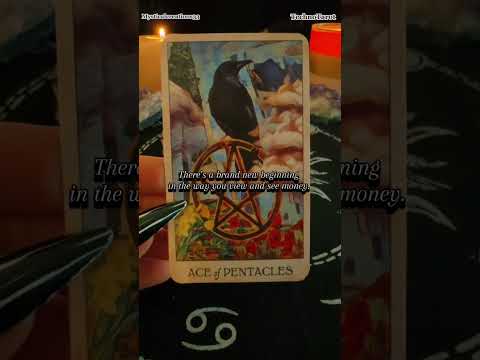 Contact details in Bio #tallahassee #tally #tallahasseelocal #florida #tallylife #tallyevents