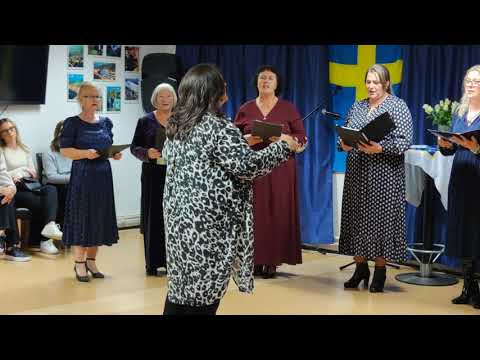 Mene moja majka gleda sa cardaka Hor Safir Norrköping