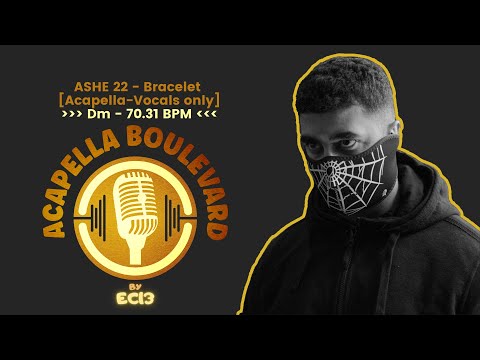 ASHE 22 - Bracelet || [Acapella - Vocals Only] || [Dm - 70.31 BPM] || by EC13