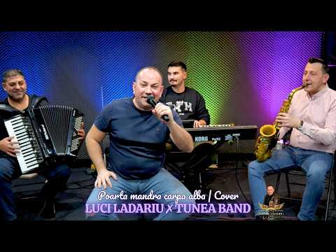 Lucian Ladariu and Nicusor Tunea Band