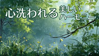 Download lagu 【癒し BGM】優雅なひととき、心を満たすチェロとバイオリン〜1/fゆらぎ | Beautiful Cello & Violin Harmony mp3 Download lagu 【癒し BGM】優雅なひととき、心を満たすチェロとバイオリン〜1/fゆらぎ | Beautiful Cello & Violin Harmony mp3