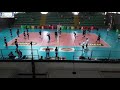 FENICE PALLAVOLO - SCUOLA & VOLLEY