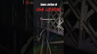 Download lagu suara jeritan di Sasak Cirahong mp3 Download lagu suara jeritan di Sasak Cirahong mp3