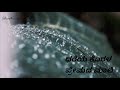 Mungaru Male Mungaru Male Title Song Kannada Lyrics Whatsapp Status Rain Status