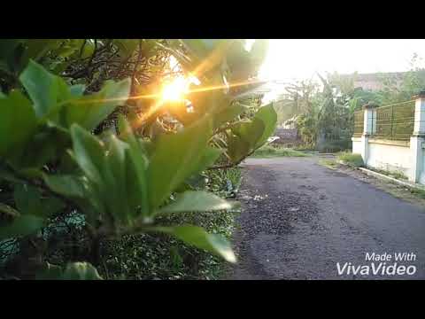 Download Didi Kempot Istri Mp3 dan Mp4 Terlengkap Gratis