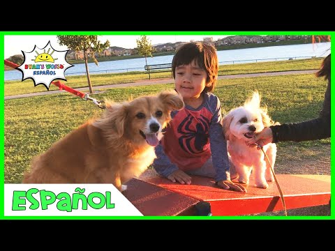 Los niños juegan en el parque infantil y en el parque para perros con Ryan's World