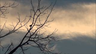 In The Bleak Mid-Winter  ... ( Sunrise !) Sarah McLachlan