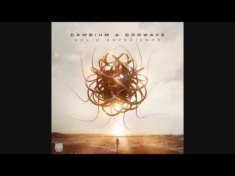 Cambium & OddWave - Solid Experience